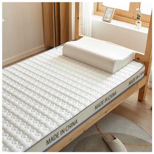 MattressJapanese Floor Mattress Portable Student Dormitory Mattress Roll-Up Camping Mattress Breathable Slow Rebound Coconut Palm Latex Mattress (Color : B