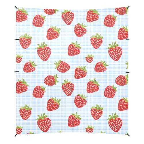 Camping Sun Shelters Strawberry Blue Plaid Pattern Beach Canopy 126 * 110.2in