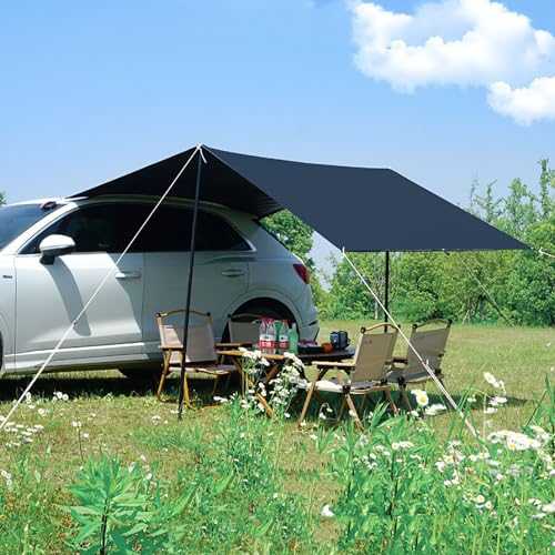 Car Awning Camping Tarps for Tents, Multifunctional Waterproof Camping Tarp, 300 * 200cm Tent Shelter Awning, PU 2000mm (Color : Black 300 * 200cm/9.