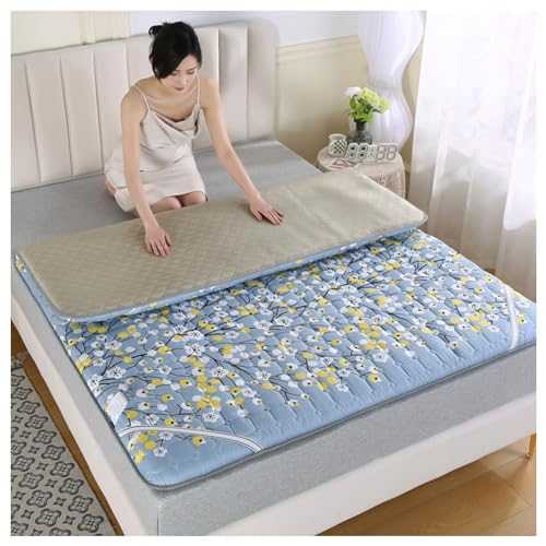 LXBche Foldable Mattress, Floor Mattresses Japanese Padded Futon Mattress Twin/Full/Queen Roll Up Tatami Mattress Breathable Camping Mattress Thai Massage Bed Mattresses for House Travel (Color : B(2