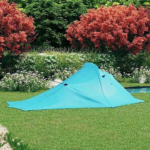 WXPXYBF Camping Tent 317x240x100 cm Blue,Item colour-Blue